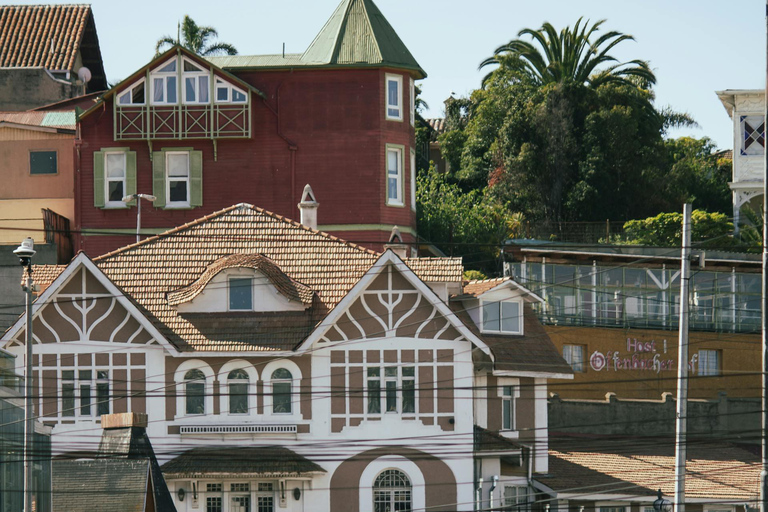 Valparaiso and Viña del Mar: Private Tour from Santiago