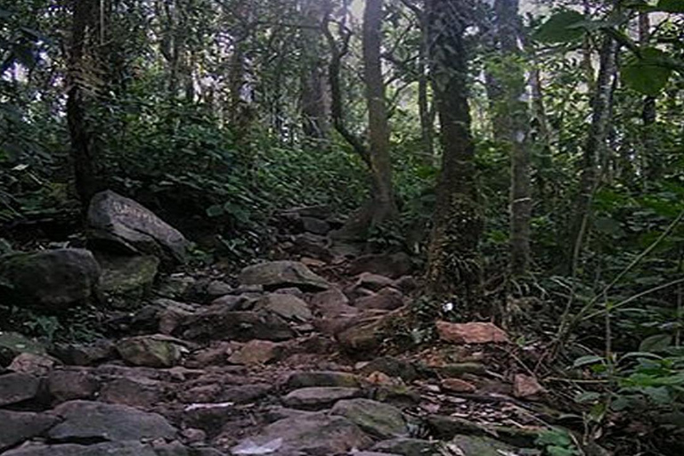 Mount Gede: 2-Day Hiking and Camping Adventure from Jakarta Thrilling Adventure with Mount Gede Hike and Camp 2D1N Tour!