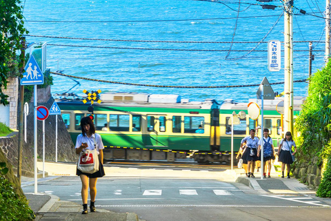 Tour de 1 día del Buda de Kamakura, Enoshima, santuario desde TokioRecogida en la estación de Shinjuku 8:30 h