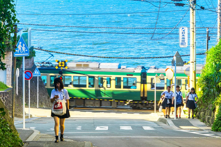 1-Day Tour of Kamakura Buddha, Enoshima, shrine from TokyoTokyo station pick-up 8:00am