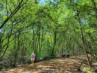 Trekking Can Gio Mangrove Eco Adventure Day Trip - Housity
