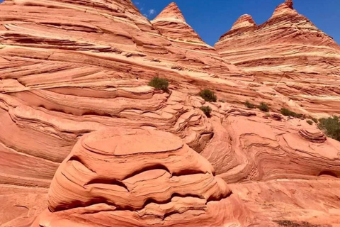 Kanab: South Coyote Buttes Hiking Tour (Permit Required)