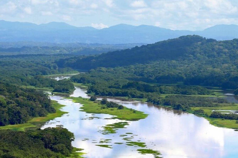 Panama City : Tour en bateau du lac Gatun et de l&#039;île aux singes