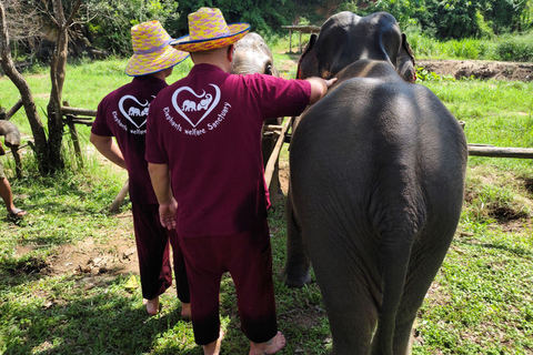 4 Experiences: Elephants, Sticky waterfalls, Market &amp; templeElephants: Sticky waterfalls: Local Market: Wat Banden