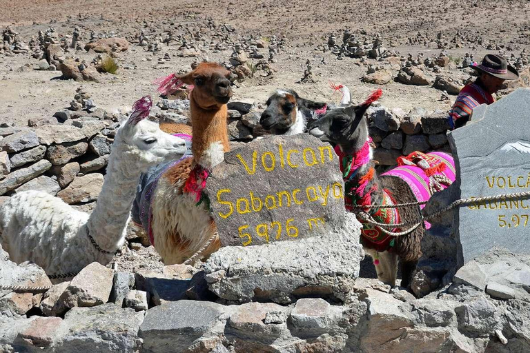 Wycieczka do Kanionu Colca 2 dni + transfer do Puno z posiłkami