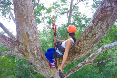 Manaus: Avventura arrampicata sugli alberi