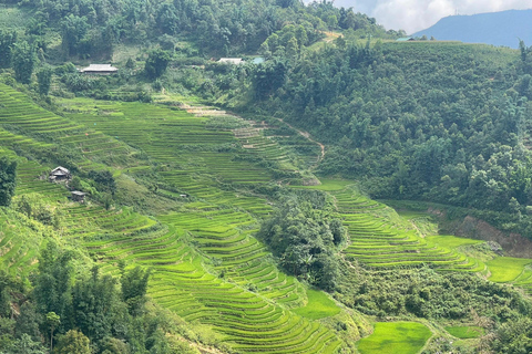 Randonnée dans le village de Red Dao et bain aux herbes