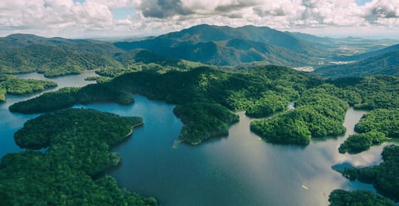 Cairns: 20 minute Rainforest Scenic Flight