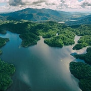 Cairns: 20 minute Rainforest Scenic Flight