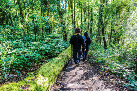 Chiang Mai: wycieczka do Doi Inthanon, wodospadów i wiosek plemiennych