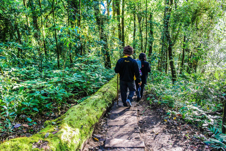 Chiang Mai : Doi Inthanon, chutes d'eau et villages tribaux