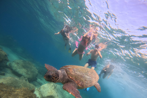 Paphos: snorkeltour met gids naar zeeschildpaddenPaphos: snorkelen met zeeschildpadden met gids