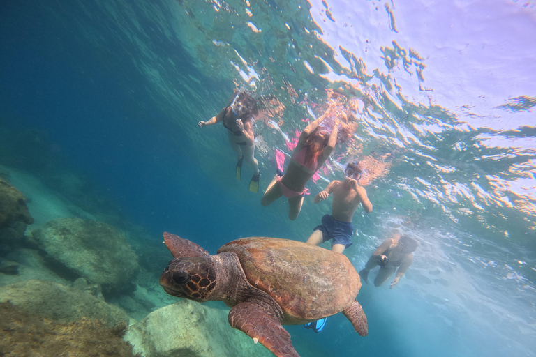 Paphos: snorkeltour met gids naar zeeschildpaddenPaphos: snorkelen met zeeschildpadden met gids