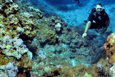 Independent exploration for certified divers (N2, PA20 min.)