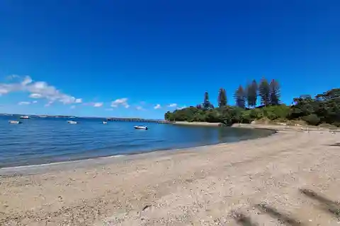 Auckland: Motuihe Island færgebillet