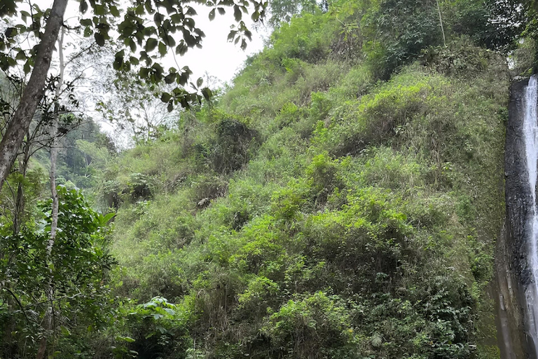 Yogyakarta: Hiking Nature Waterfall & Temples Tour Yogyakarta: Siluwok Waterfall & Temples Tour