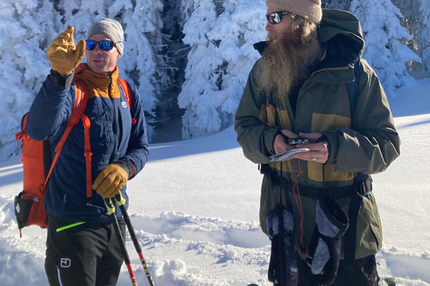 Ehrwald : Randonnée en raquettes à Zugspitze avec vue sur les montagnes
