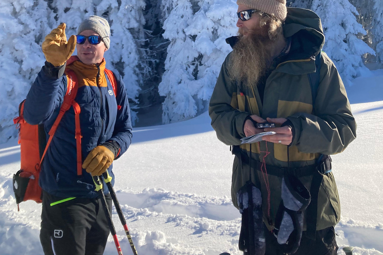 Ehrwald : Randonnée en raquettes à Zugspitze avec vue sur les montagnes