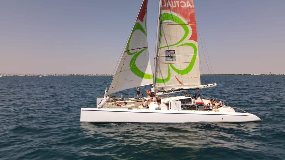 sortie catamaran de course