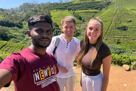 Kandy to Nuwara Eliya Transfer & Ambewala Train Ride to Ella