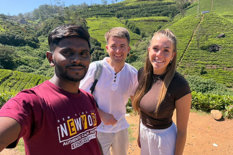 Kandy to Nuwara Eliya Transfer & Ambewala Train Ride to Ella