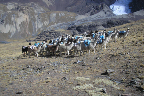 From La Paz: Condoriri Andes, Pico Austria Full Day Hiking