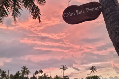 Hikkaduwa: Rathgama Lagoon Kayaking and Fish Therapy Tour