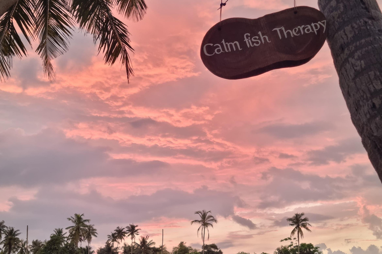 Hikkaduwa: Rathgama Lagoon Kayaking and Fish Therapy Tour