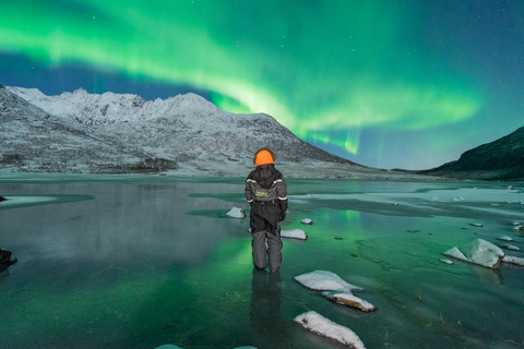 Tromsø: Caccia all&#039;aurora boreale con foto e cibo caldo