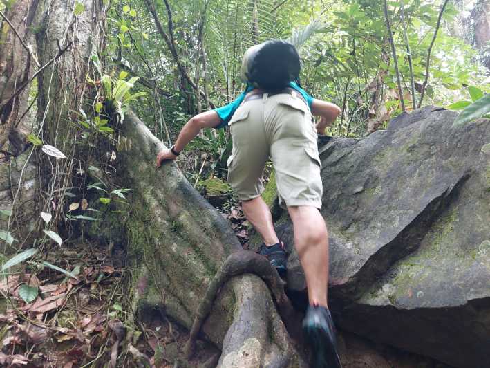 Из Пхукета: поход по тропическому лесу и водопаду с гидом с обедом