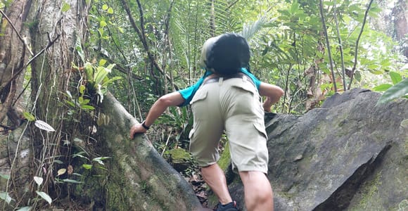 Von Phuket aus: Geführte Regenwald-Wanderung mit Mittagessen