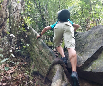 From Phuket: Guided Rainforest Hike with Lunch