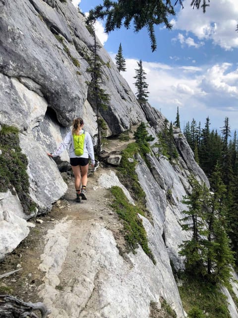 Banff Sulphur Mountain Guided Hike Getyourguide