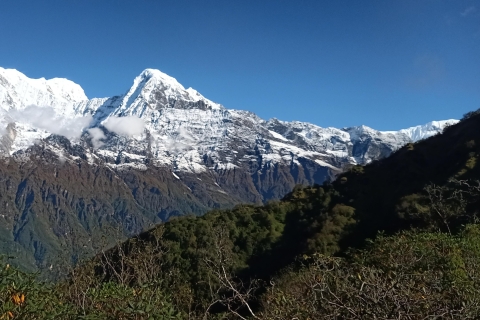 Mardi Himal Trek - Népal.