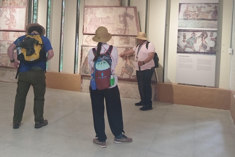 Bacalar: Calakmul ruins, jungle path & stop at the bat cave. Bacalar: Calakmul ruins tour jungle and the bat volcano..