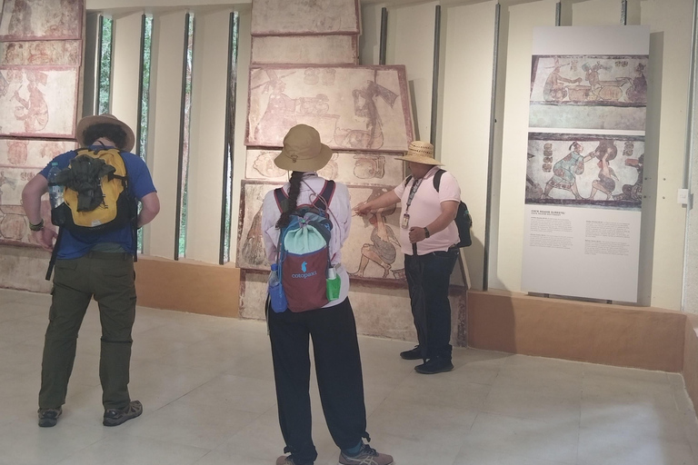 Bacalar: Calakmul ruins, jungle path & stop at the bat cave. Bacalar: Calakmul ruins tour jungle and the bat volcano..