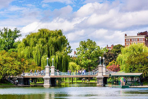 From Boston:Public Garden,Beacon Hill&More Half Day tour Tour Only