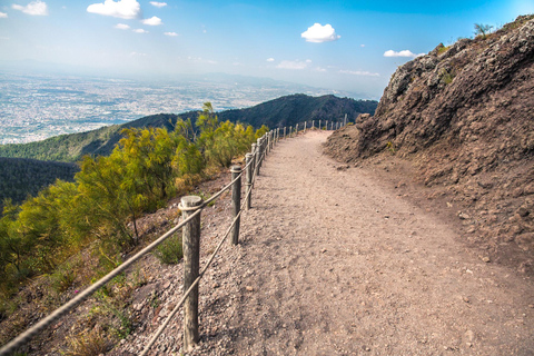 Sorrento: całodniowa wycieczka do Pompejów i WezuwiuszaWycieczka w języku angielskim