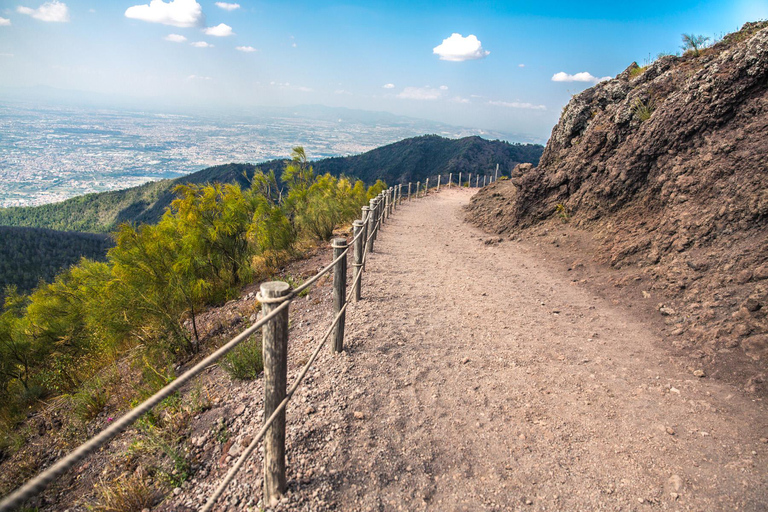 Sorrento: całodniowa wycieczka do Pompejów i WezuwiuszaWycieczka w języku angielskim
