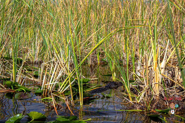 3-Day Florida Getaway: Miami, Everglades &amp; Key West Snorkel