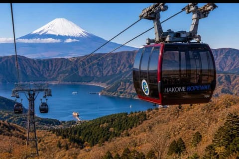 From Tokyo: Private Mt. Fuji & Hakone with English Driver - Image 2