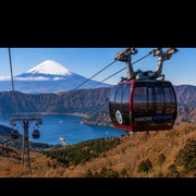 From Tokyo: Private Mt. Fuji & Hakone with English Driver