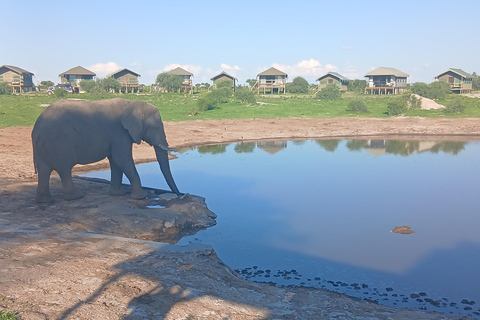 From Victoria Falls: Maun Transfer with Elephant Sands Stop