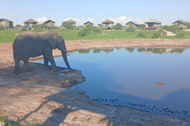 From Victoria Falls: Maun Transfer with Elephant Sands Stop