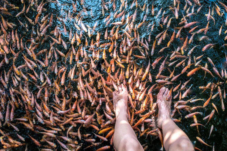 Sri Lanka: 9-Day Private Tour – Pearl of the Indian Ocean