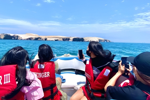 From Paracas: Ballestas Island Marine Wildlife Watching