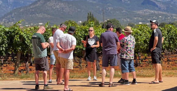 Familien-Weingut-Tour mit Verkostung und Blick auf das Tramuntana-Gebirge