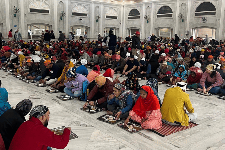 Delhi: Old and New Delhi Private Full or Half-Day Tour Full Day Tour with Guide Only - (Without Car & Driver)