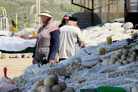 From Samarkand: Shahrisabz Day Trip via Mountain Pass Group Tour with Local English Guide