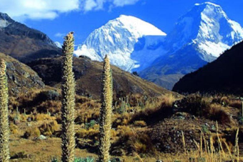 Huaraz: Esplorare la maestosa laguna 69